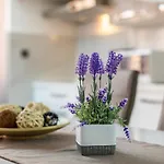 Apartment Beganovic Krk Town