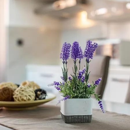 Apartamento Beganovic Krk Town