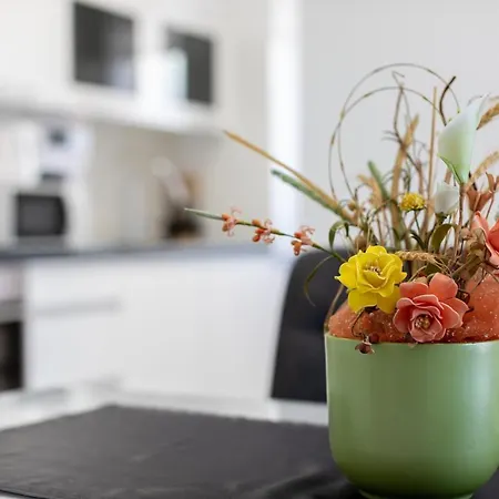 Apartment Beganovic Krk Town