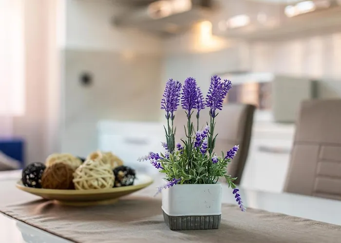 Apartment Beganovic Krk Town